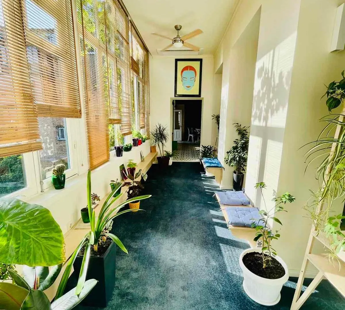 Hostel Communa Good Vibes Tiflis Gürcistan